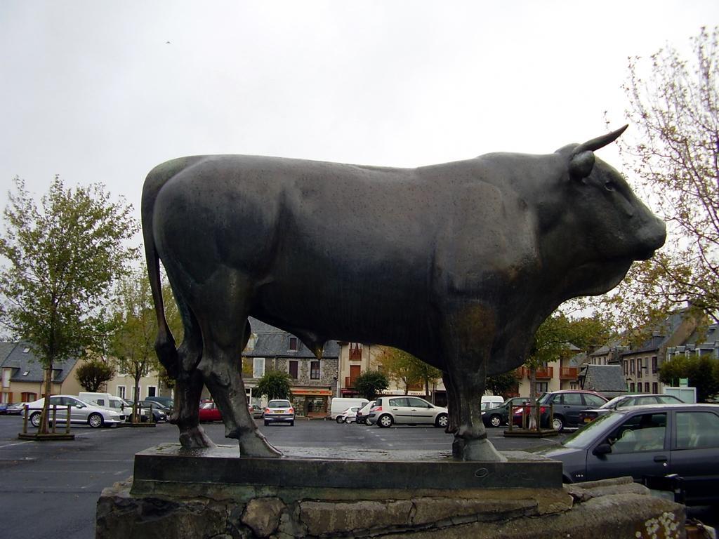 Vvf Aubrac Hotel Chaudes-Aigues Bagian luar foto